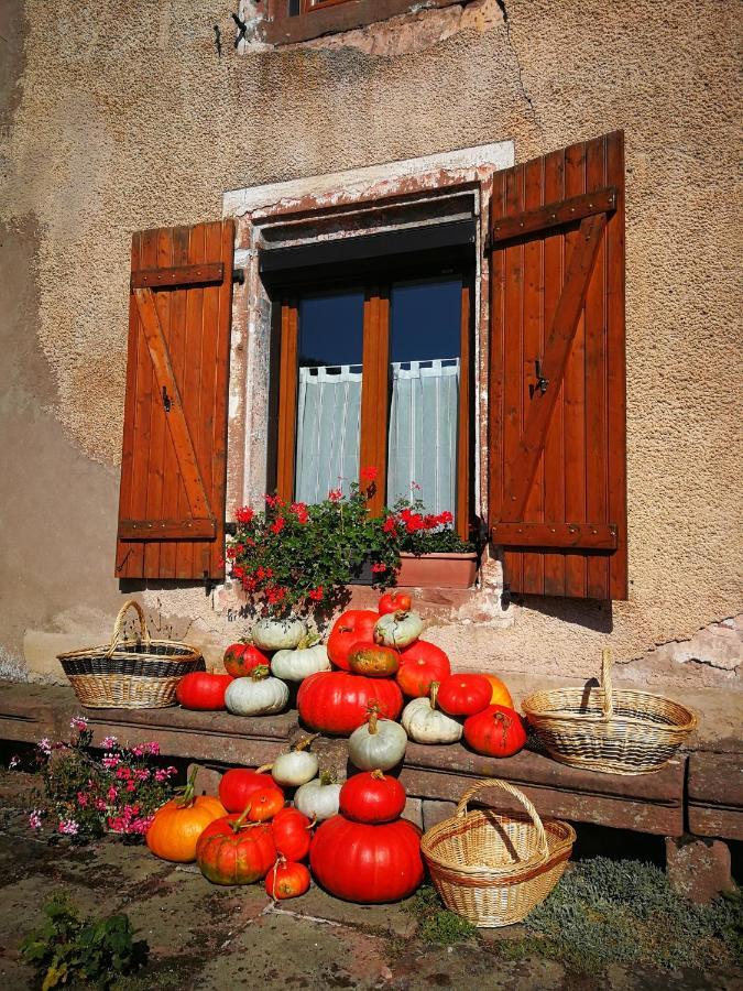 La Maison Du Vannier Raon-les-Leau Exterior foto