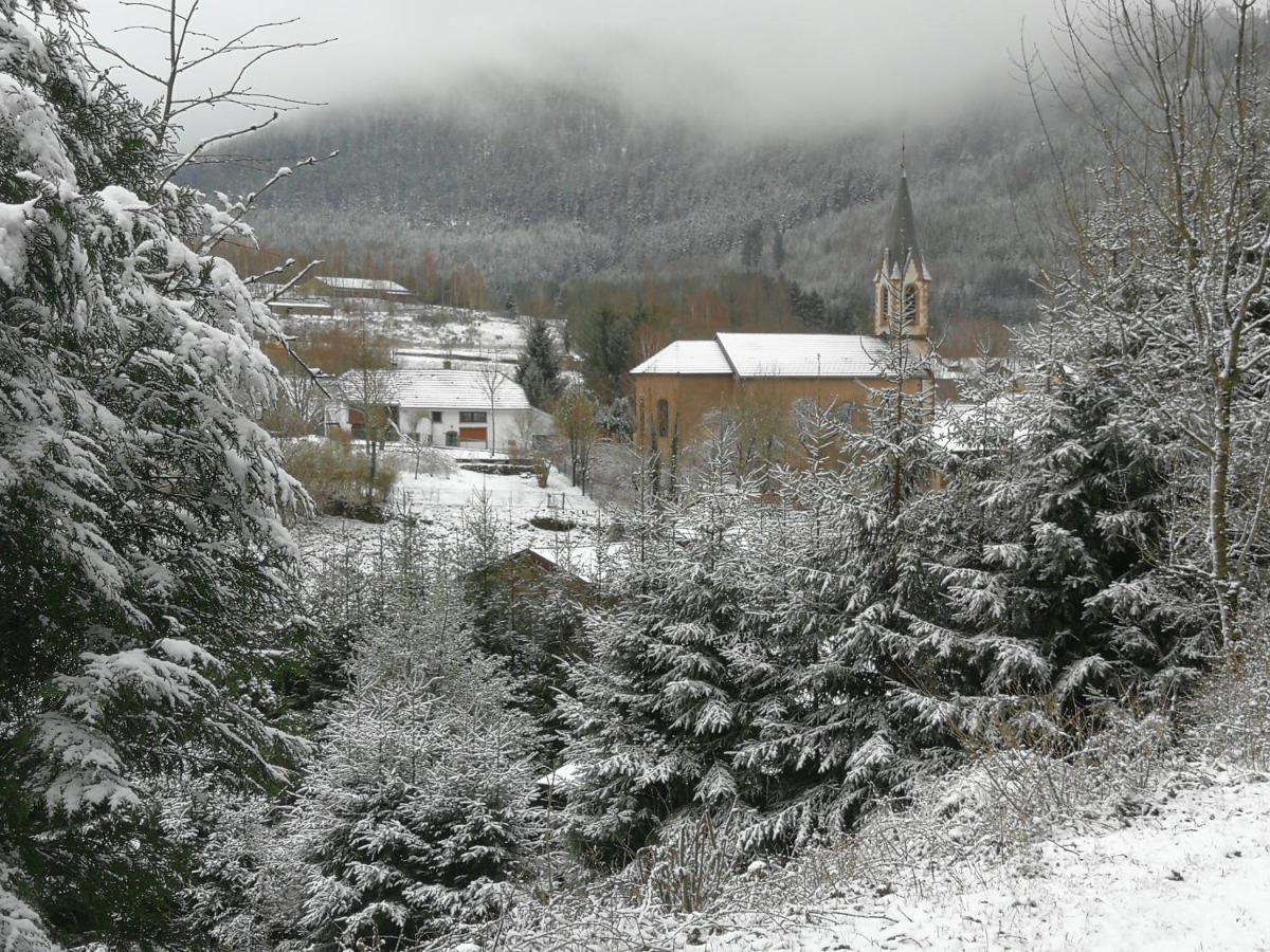 La Maison Du Vannier Raon-les-Leau Exterior foto